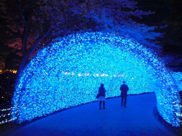 なばなの里の写真6