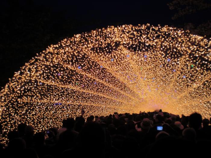 なばなの里の写真9