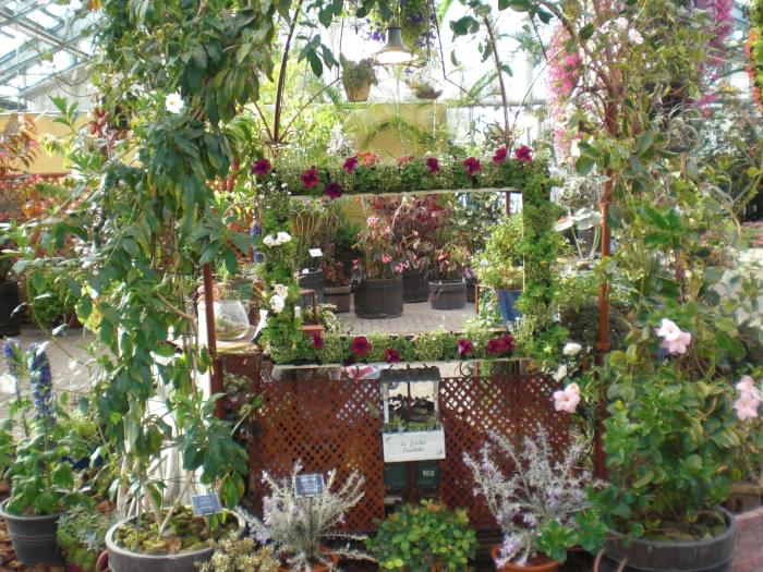 なばなの里の写真13