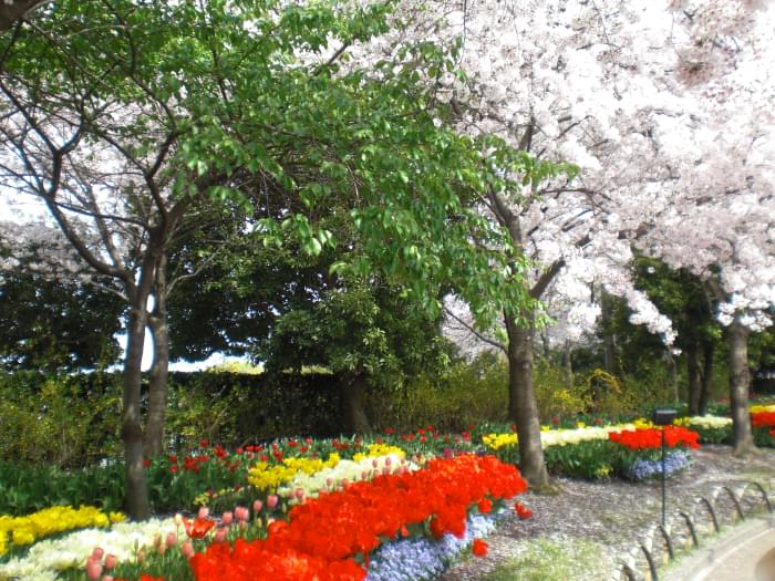 なばなの里の写真15