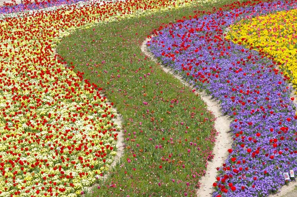 なばなの里の写真16