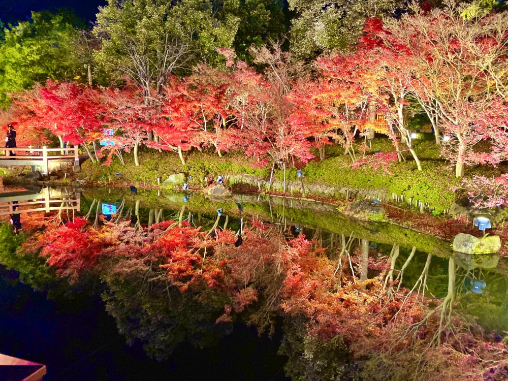 なばなの里の写真18