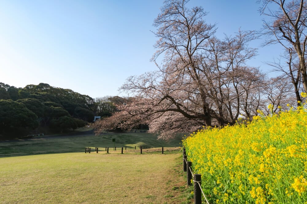 根岸森林公園の写真8