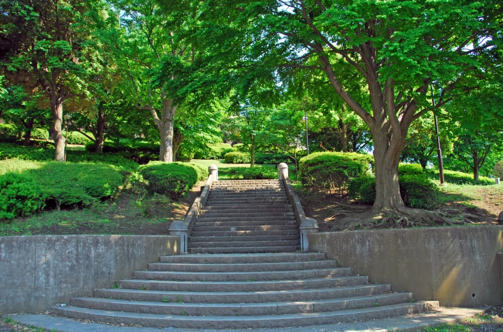 根岸森林公園の写真9