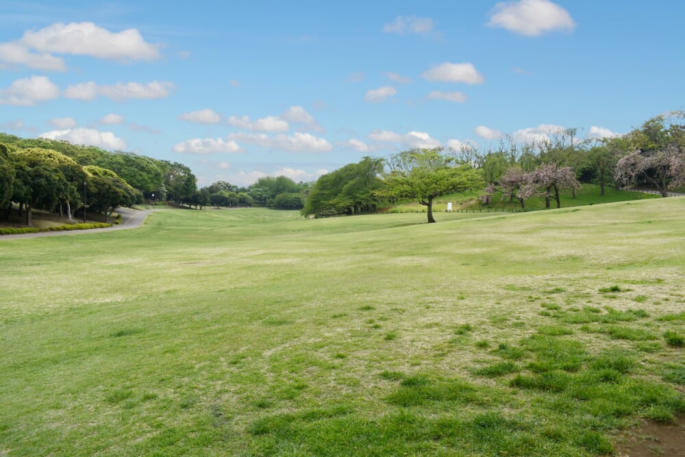 根岸森林公園の写真10