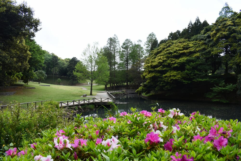 根岸森林公園の写真11