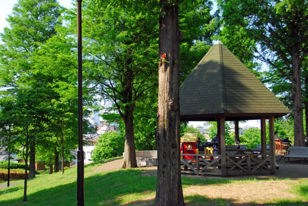 根岸森林公園の写真1