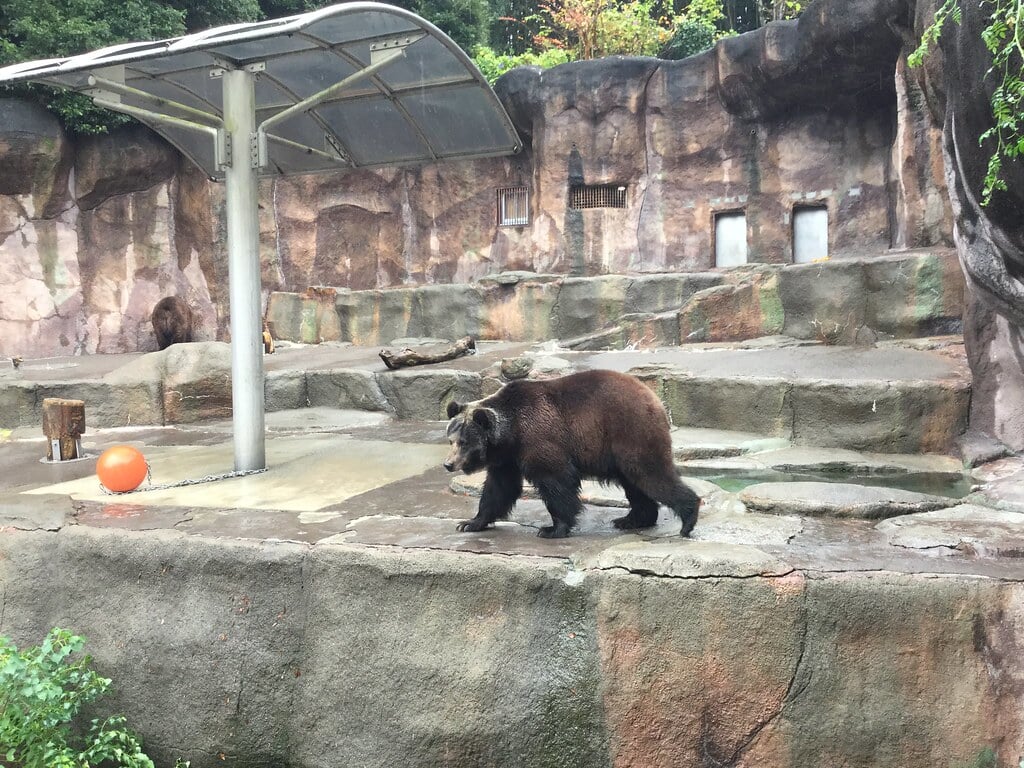 浜松市動物園の写真3
