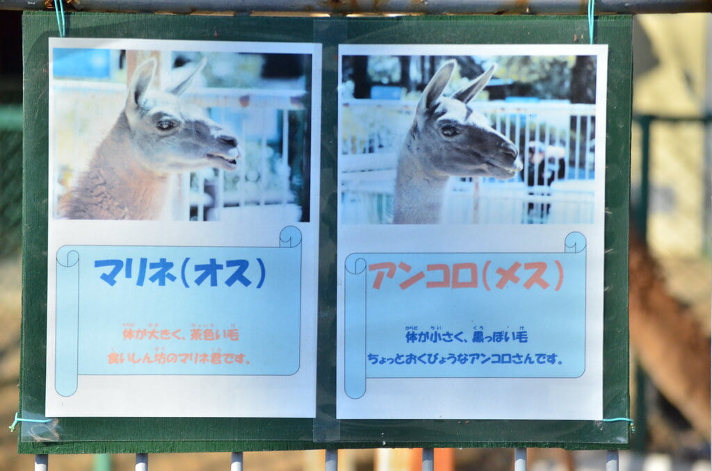 浜松市動物園の写真4