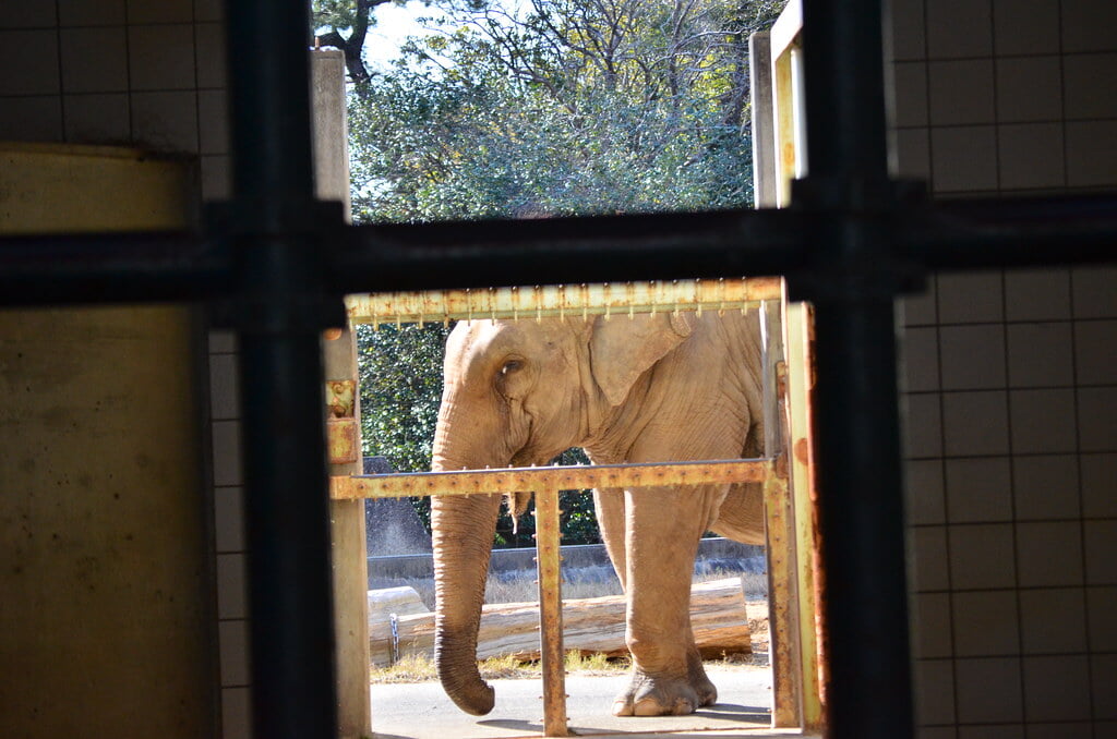 浜松市動物園の写真7