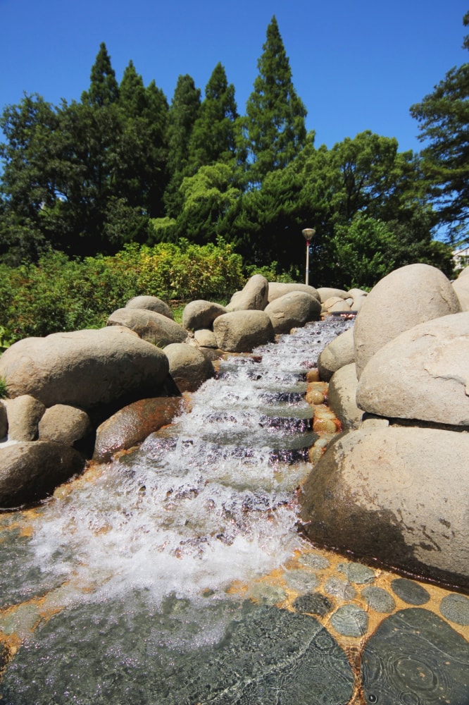 靱公園の写真13