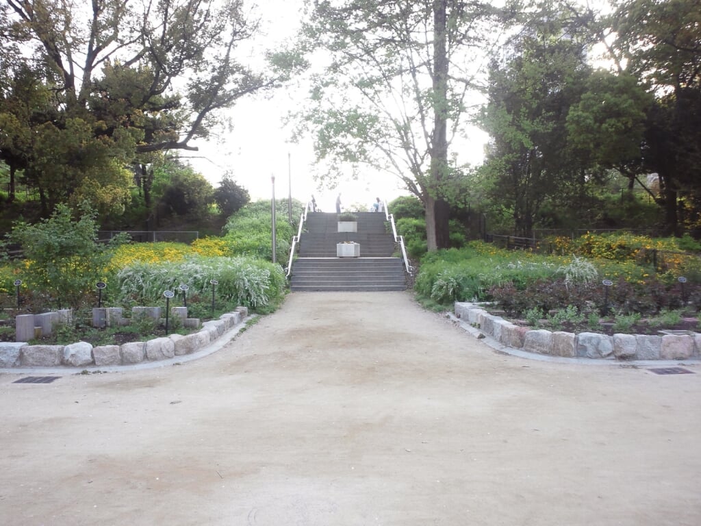 靱公園の写真14