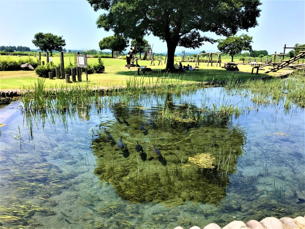 鬼怒グリーンパークの写真1