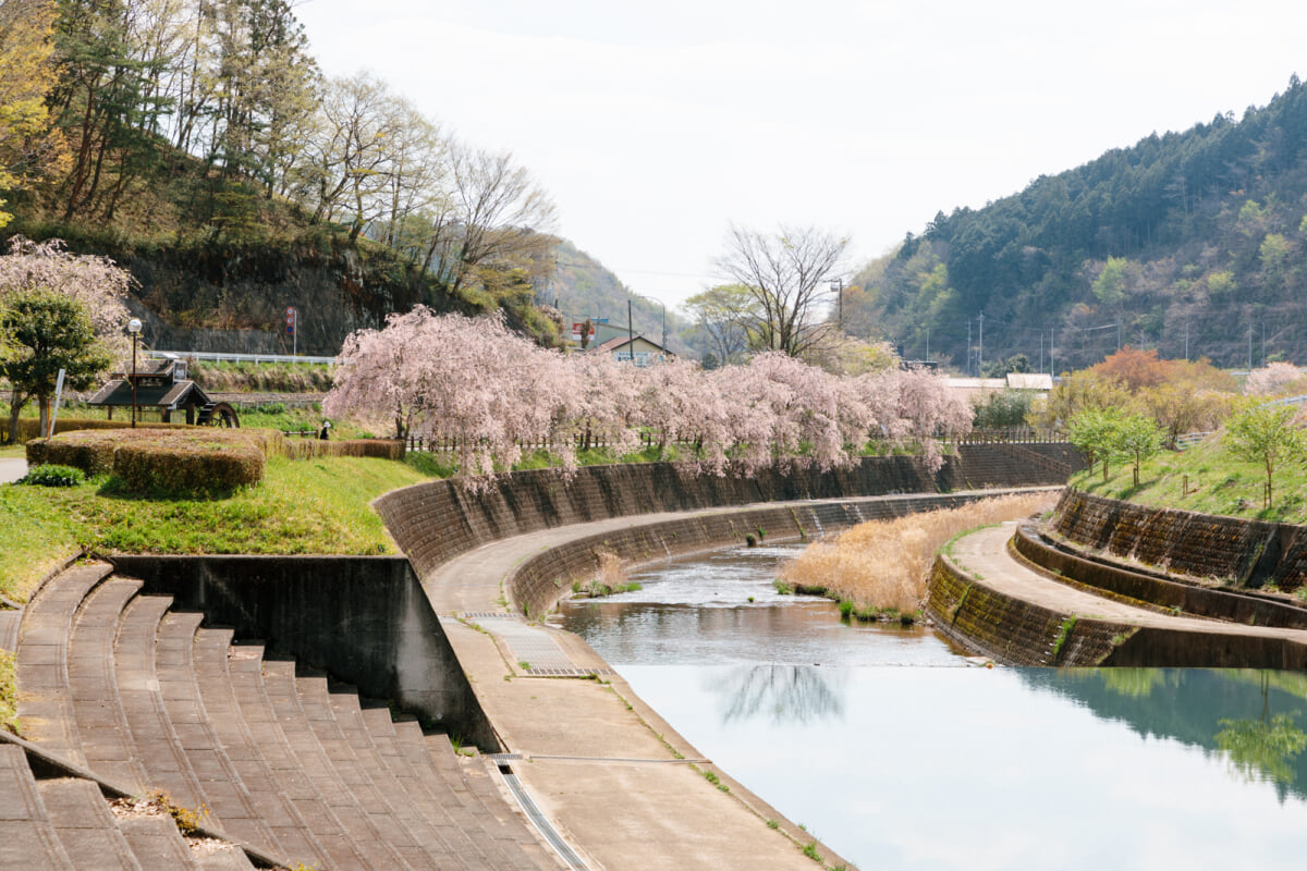 道の駅 もてぎの写真2
