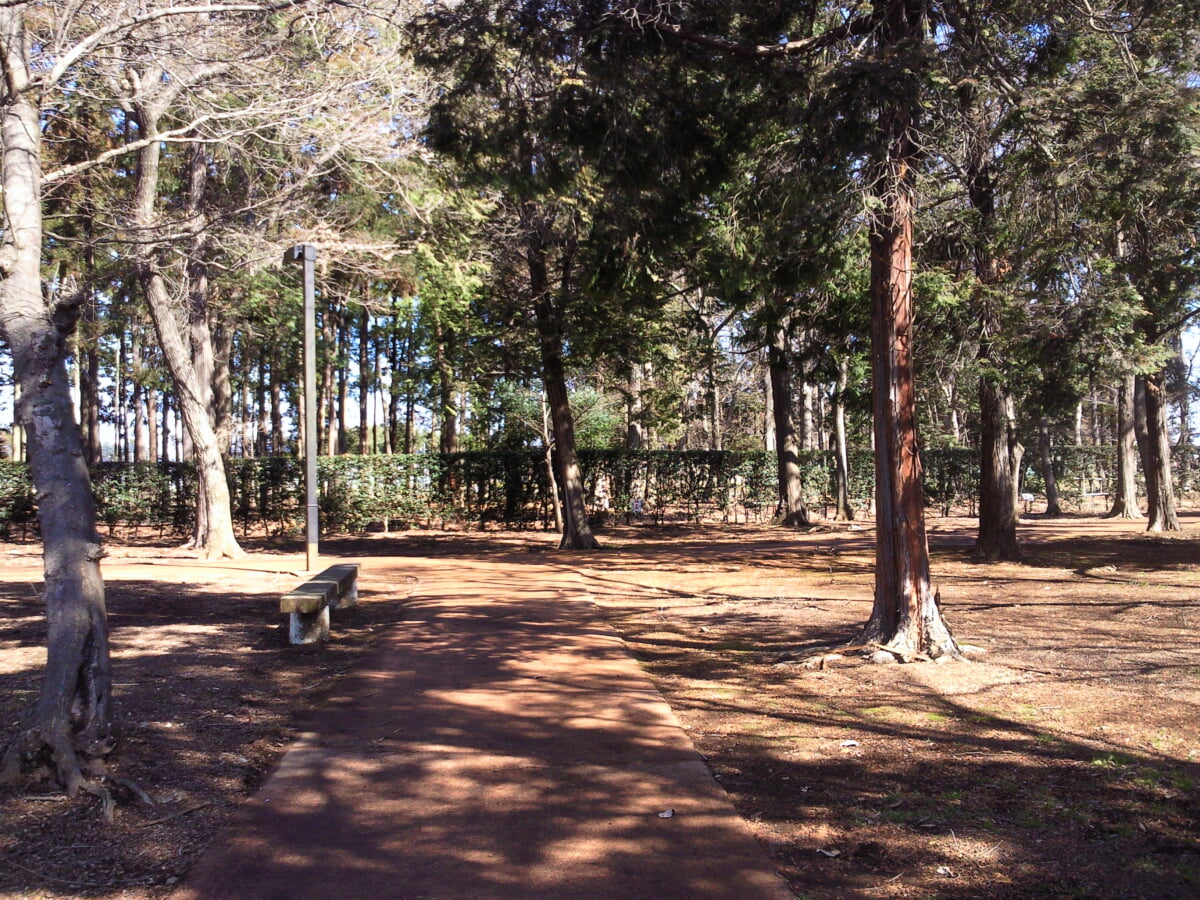 ネーブルパーク ポニー牧場の写真2