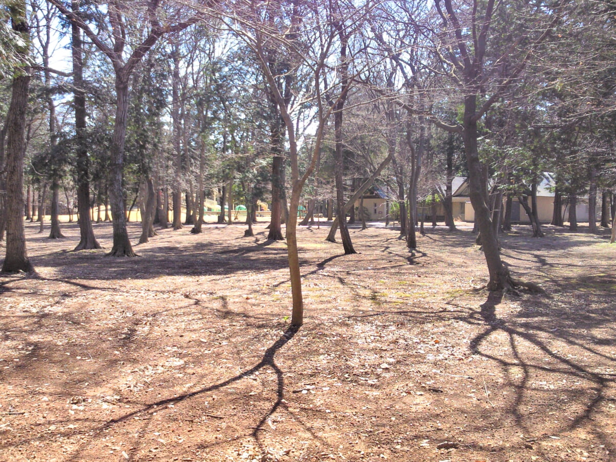 ネーブルパーク ポニー牧場の写真3