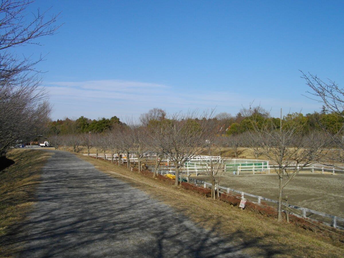 ネーブルパーク ポニー牧場の写真4