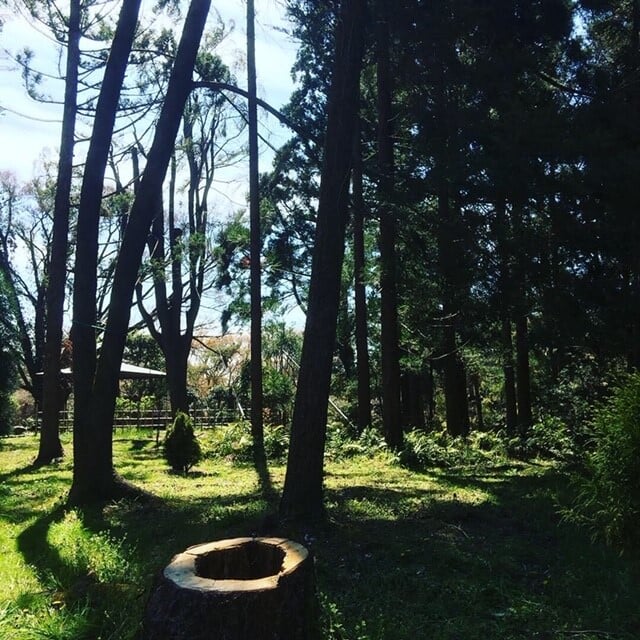 京都府立植物園の写真2