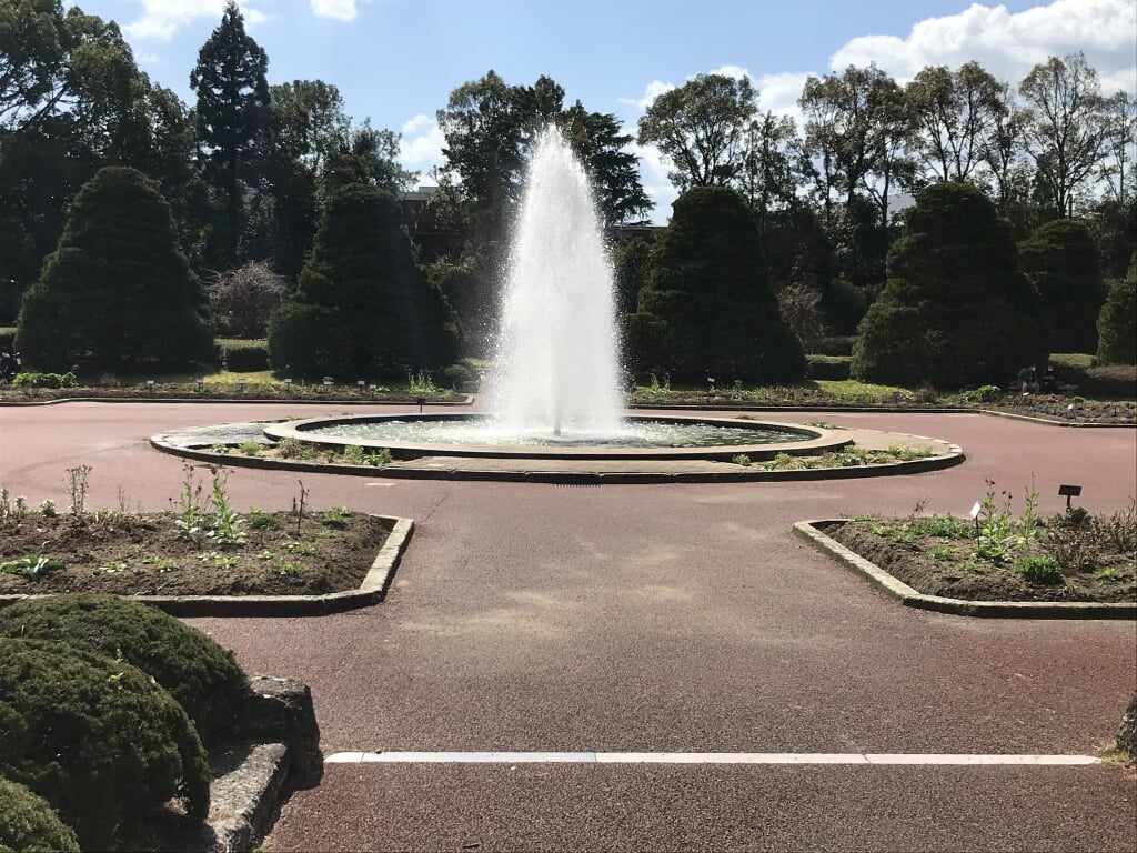 京都府立植物園の写真6