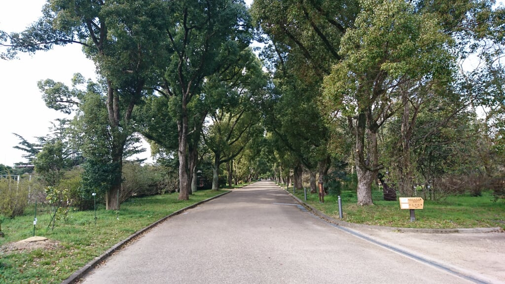 京都府立植物園の写真7