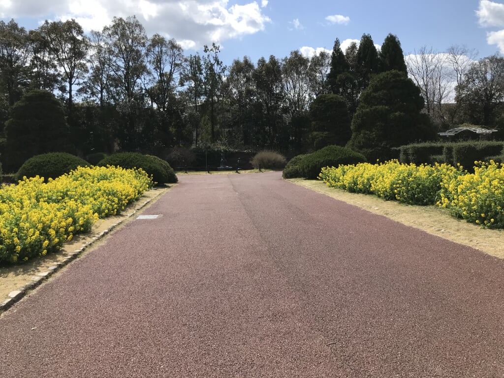 京都府立植物園の写真16