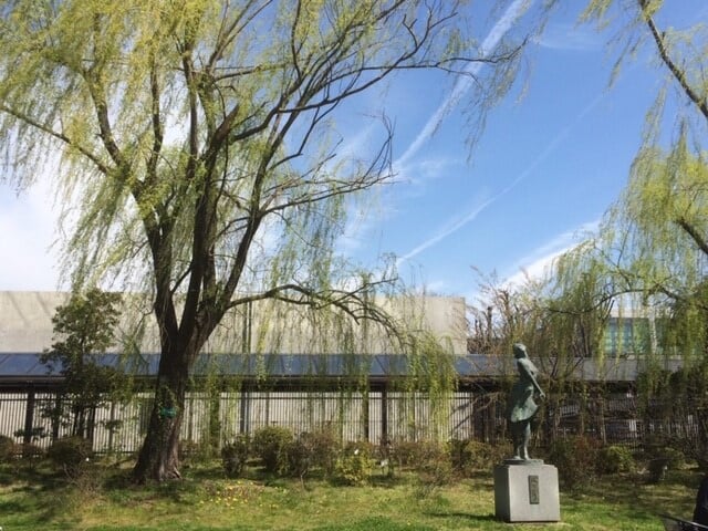 京都府立植物園の写真1