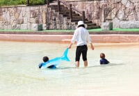 西山公園 ジャブジャブ池