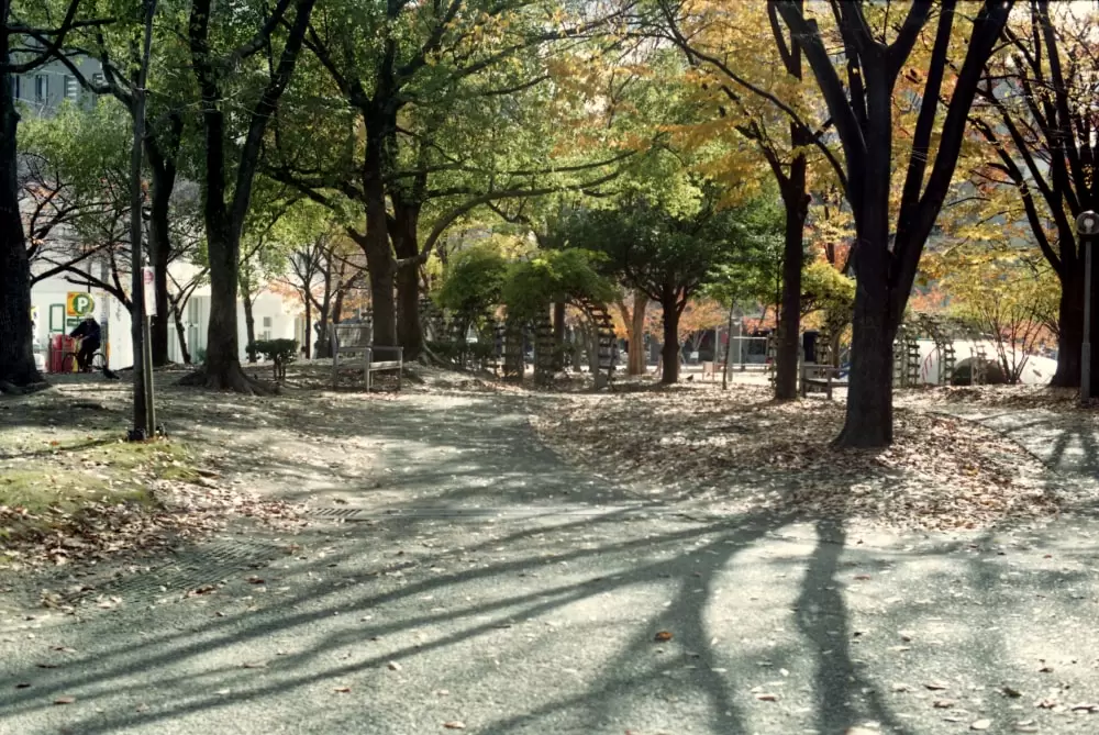 江坂公園の写真1