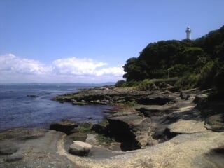 観音崎公園の写真6