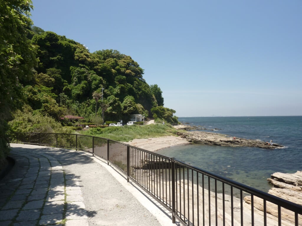 観音崎公園の写真7