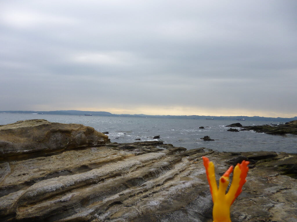 観音崎公園の写真8