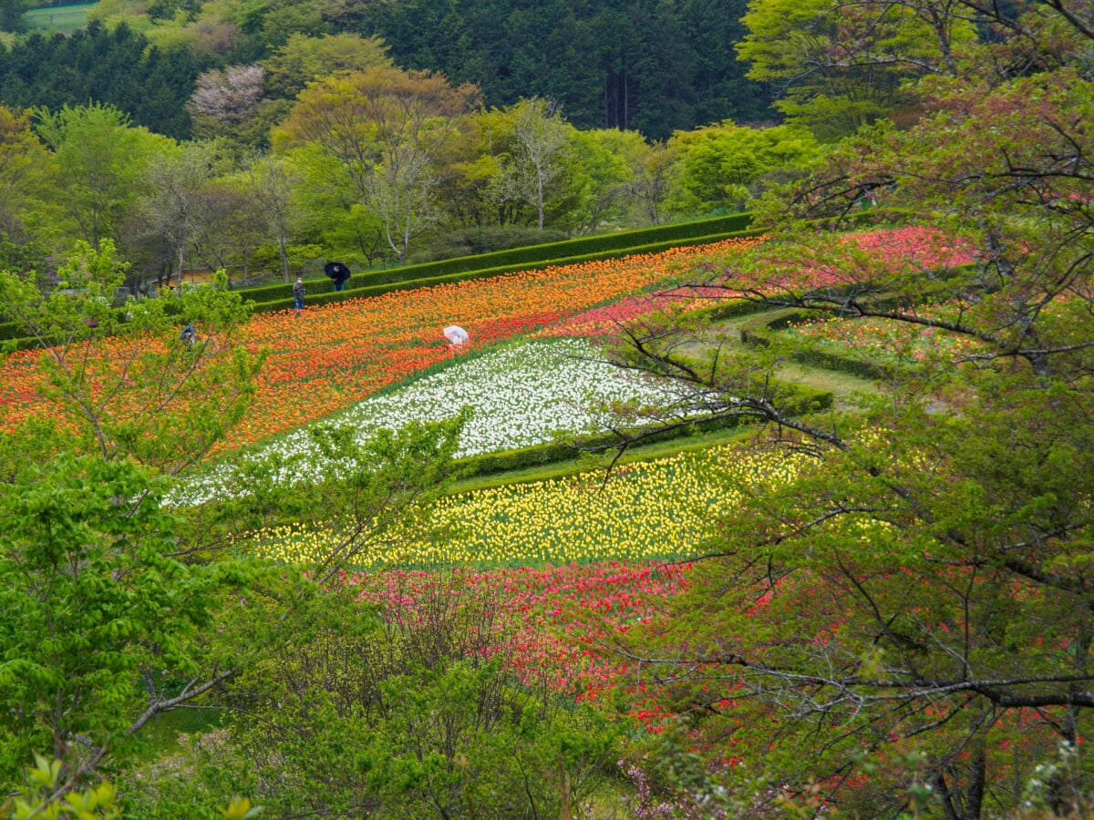 館ヶ森アーク牧場の写真2