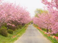 館ヶ森アーク牧場