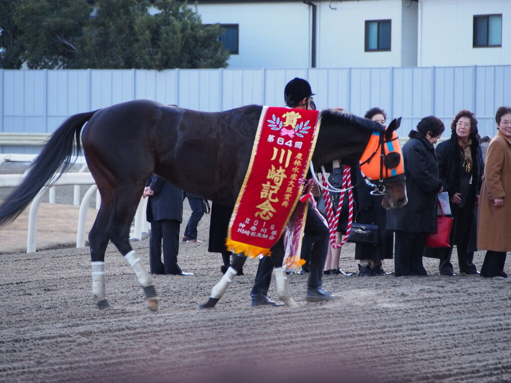 川崎競馬場の写真3