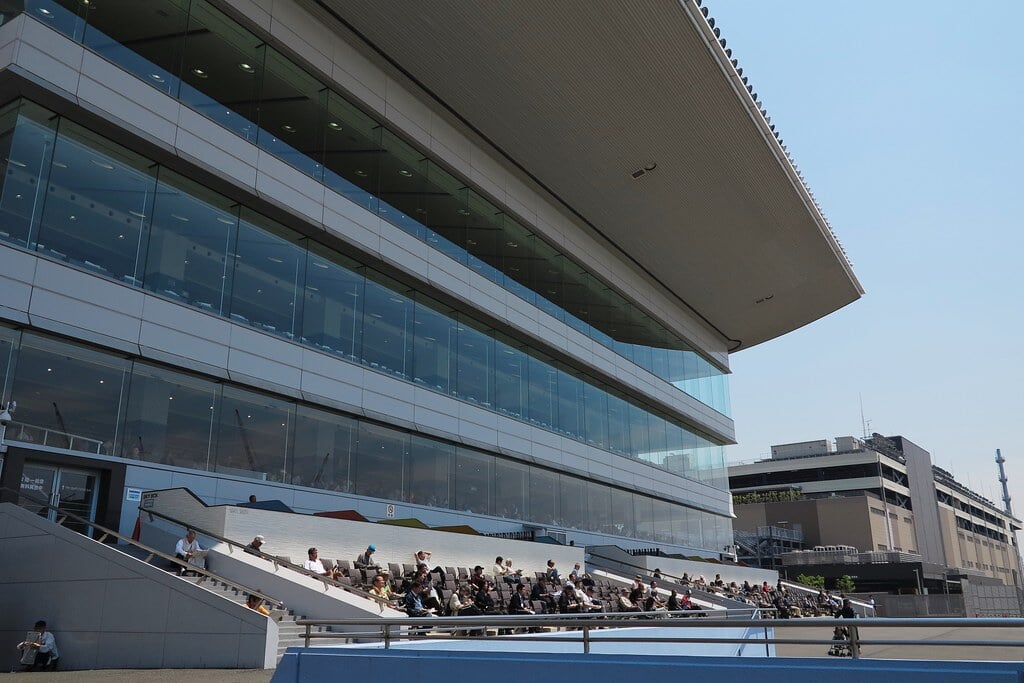 川崎競馬場の写真4