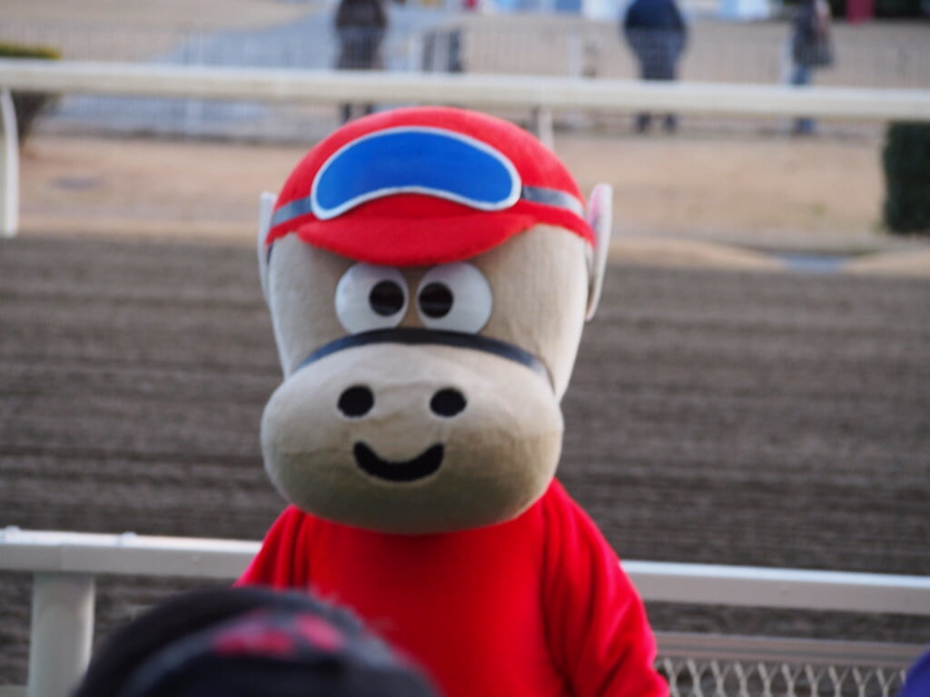 川崎競馬場の写真7