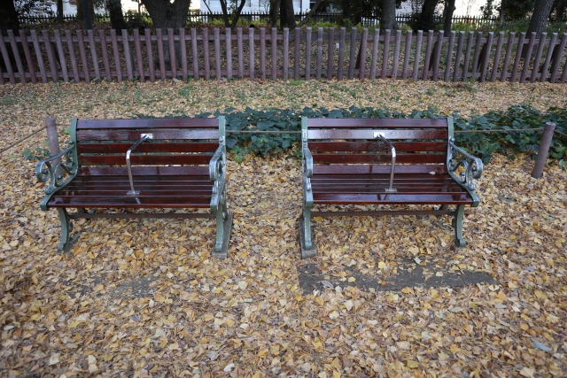 明治神宮外苑の写真2