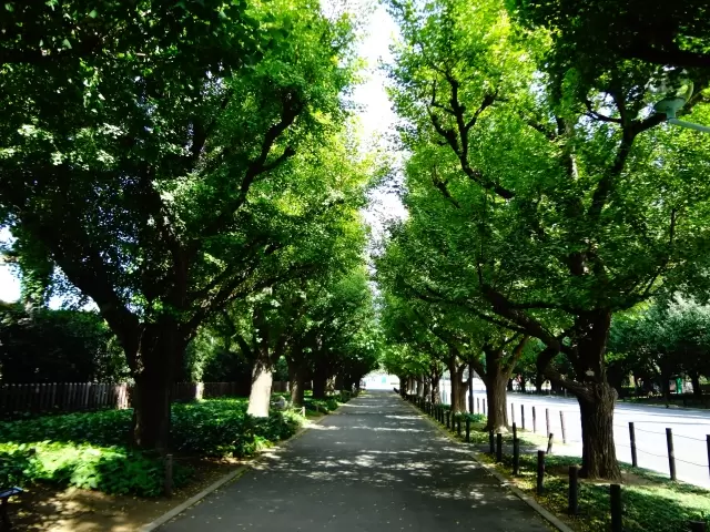 明治神宮外苑の写真1