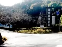 公渕森林公園