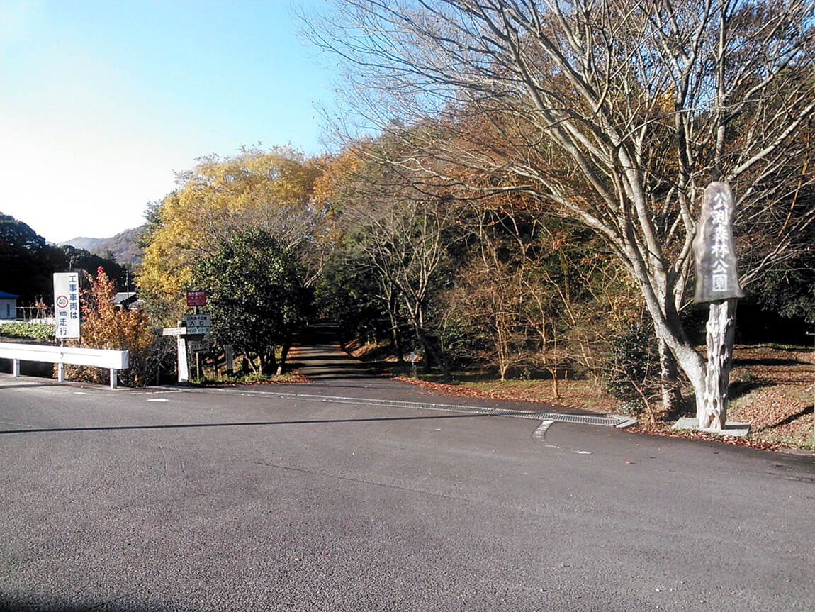 公渕森林公園の写真3