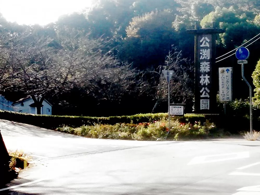 公渕森林公園の写真1