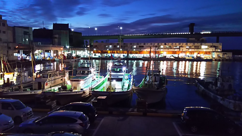 小田原漁港の写真2