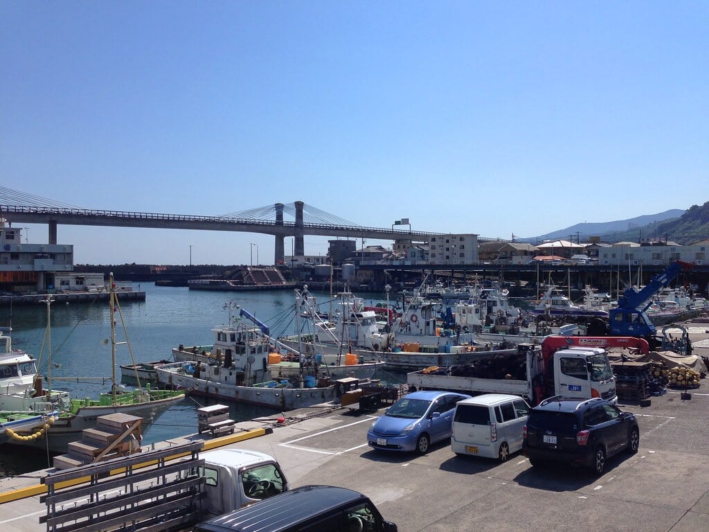 小田原漁港の写真3