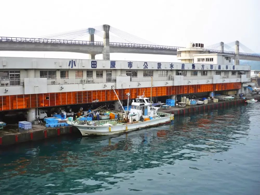 小田原漁港の写真1