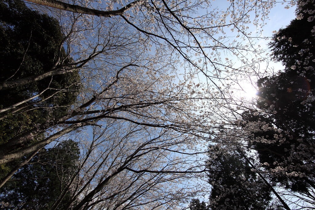 袖ケ浦公園の写真3