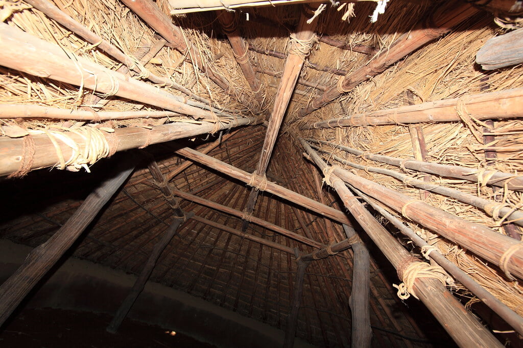 袖ケ浦公園の写真6