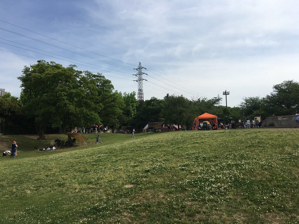 大泉中央公園の写真2