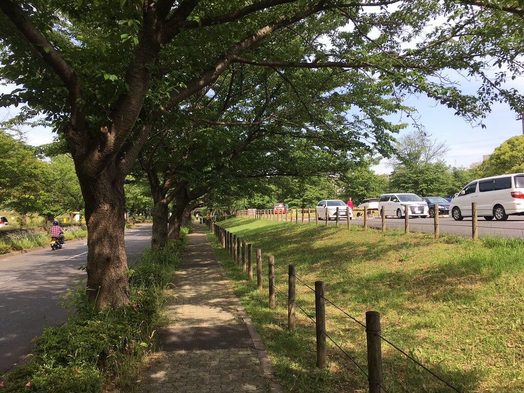 大泉中央公園の写真4