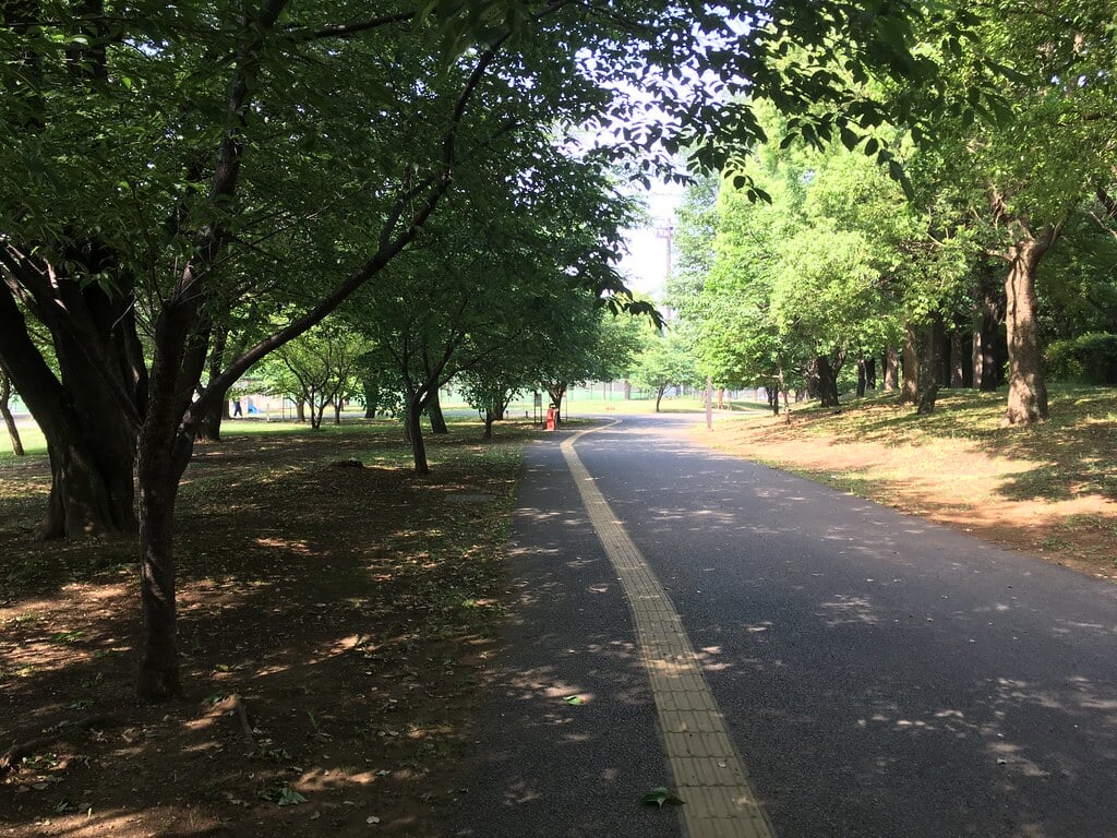 大泉中央公園の写真5