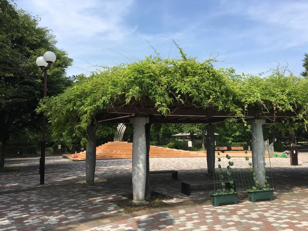 大泉中央公園の写真6